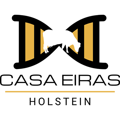 Logo Casa Eiras